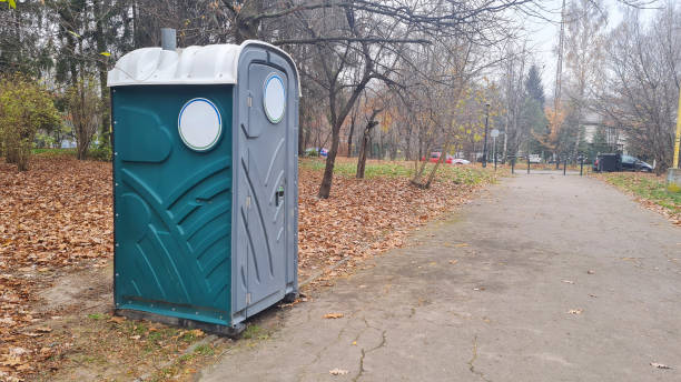 The dry closet is green in the forest or in the national park.